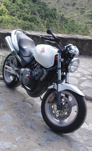 Honda CB250F Hornet Blanca