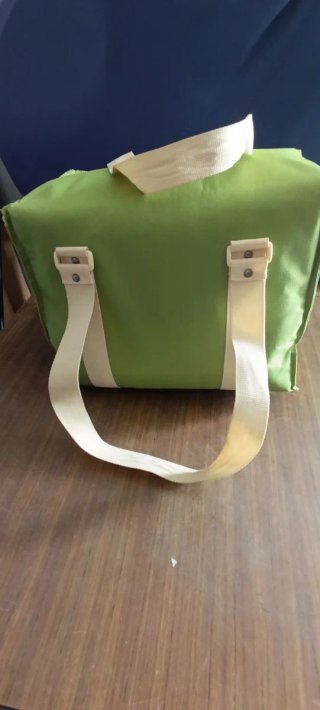 Nevera grande verde