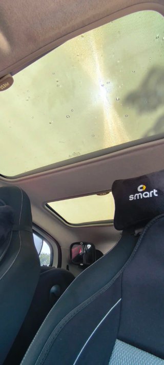 smart forfour 2018 único en España