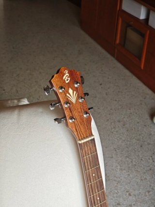 Guitarra Acústica Harley Benton HB Custom Line