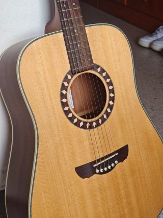 Guitarra Acústica Harley Benton HB Custom Line
