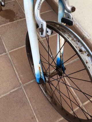 Bicicleta Derbi Panther Clásica