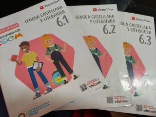 Lengua Castellana y Literatura 6, Educación Pri...