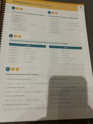 Llengua Catalana i Literatura 1