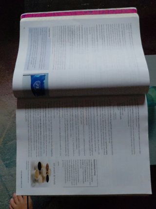 Lengua castellana y literatura 1 Bachillerato