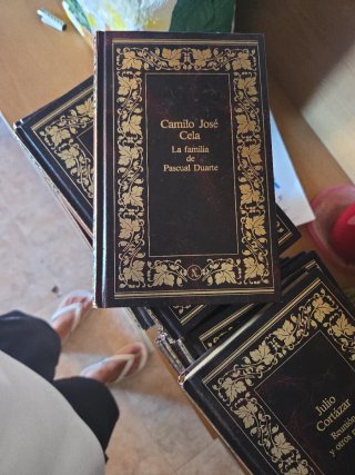 Colección de libros de literatura contemporánea