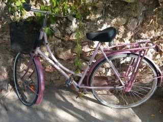 Bicicleta Holandesa Gazelle Rosa