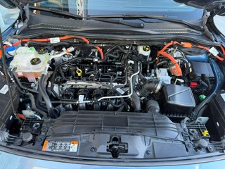 Ford Kuga 2023