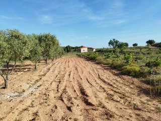 Terreno rustico con casa de campo