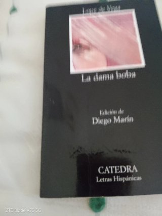 Libro la dama boba