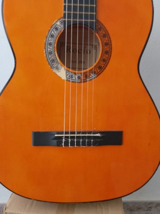 Guitarra Rocío R10 + funda + cejilla