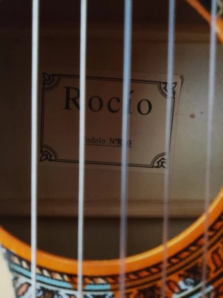Guitarra Rocío R10 + funda + cejilla