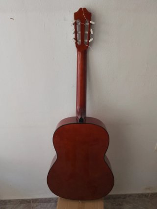 Guitarra Rocío R10 + funda + cejilla