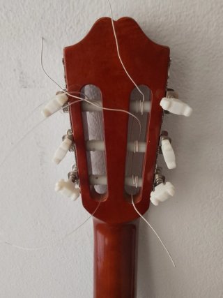 Guitarra Rocío R10 + funda + cejilla