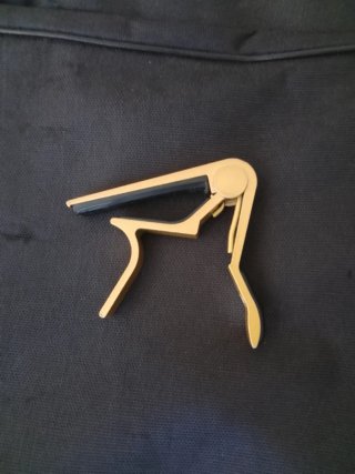 Guitarra Rocío R10 + funda + cejilla