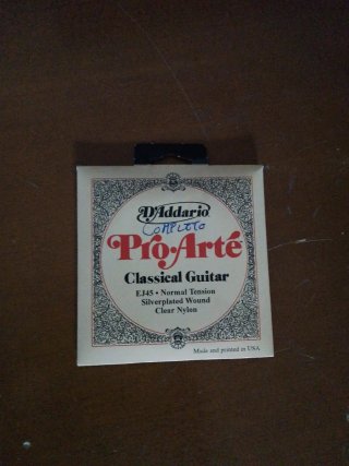 Guitarra Rocío R10 + funda + cejilla