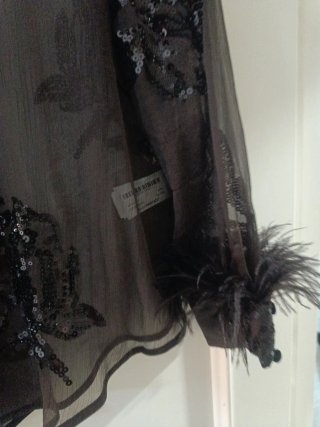 Blusa Zara Marrón Transparente Lentejuelas Plumas
