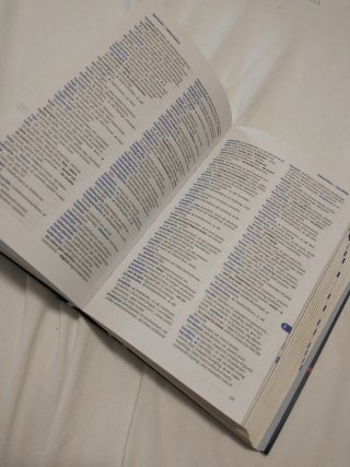 Diccionario Inglés Compact Plus