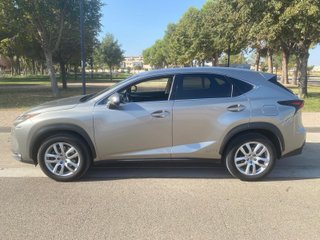 Lexus NX300H Executive 4WD