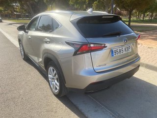 Lexus NX300H Executive 4WD