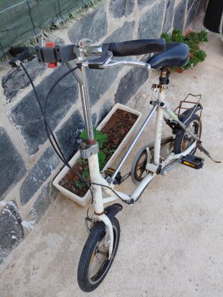 Bicicleta plegable adulto
