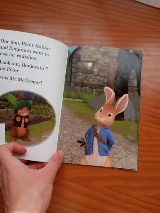 Read It Yourself with Ladybird Peter Rabbit the...