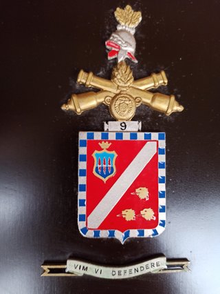 Stemma Militare Esercito Italiano 9° Artiglieria