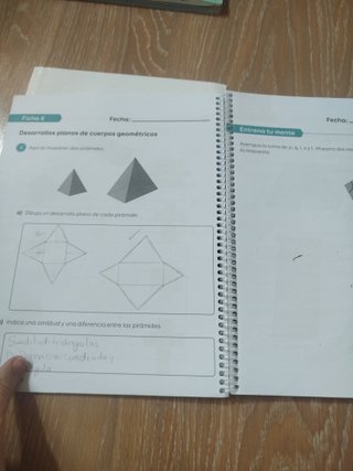 Libro texto método Singapur 6 primaria.