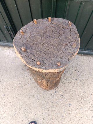 Colmenas de corcho artesanal