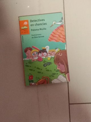 Detectives en chanclas