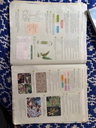 BIOLOGIA Y GEOLOGIA MEC 1ESO CONSTRUYENDO MUNDOS
