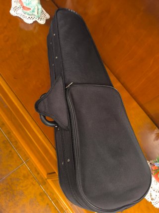 Violín 1/2 con estuche y arco