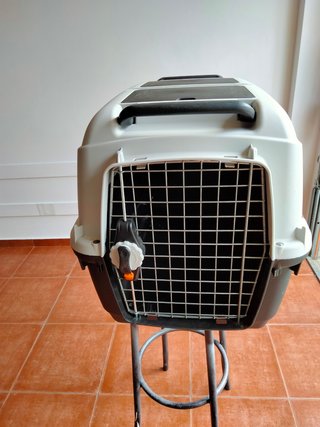 Transportín Perro Grande
