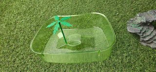 Acuario tortuga verde con palmera