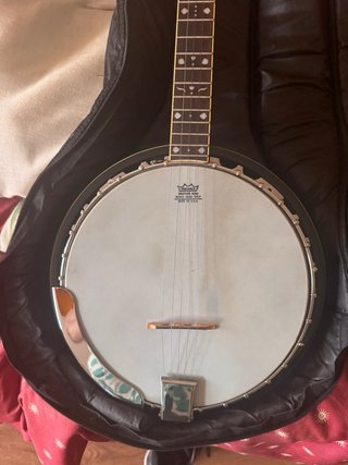 Banjo Fender con funda.