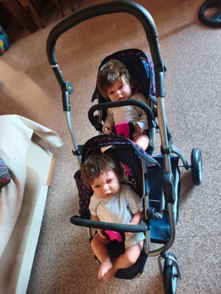 Muñecos Reborn Gemelos con Carro
