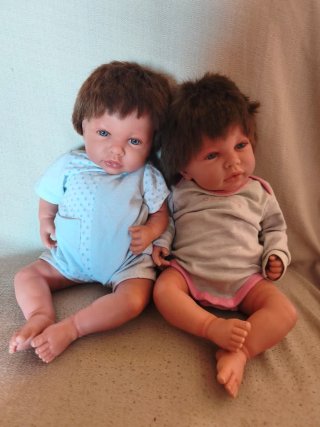 Muñecos Reborn Gemelos con Carro