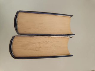 La araña negra libro 2 tomos