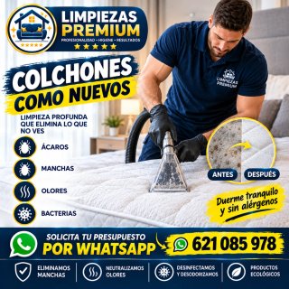 Limpieza professional de tapicerias a domicilo