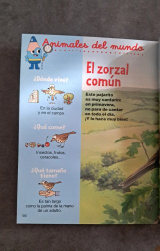 Cuento Leo Leo