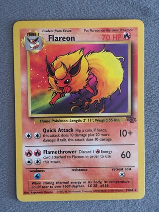 Colección Cartas Pokémon jungla
