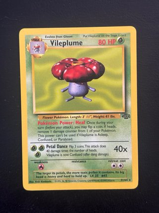 Colección Cartas Pokémon jungla