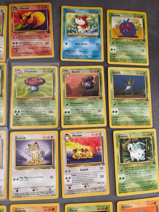 Colección Cartas Pokémon jungla