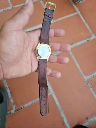Reloj Festina Dorado y Marrón