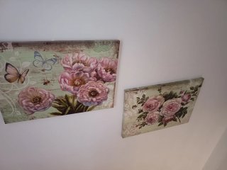 Cuadros grandes flores rosas y abejas