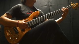 Bajo Eléctrico 5 Cuerdas