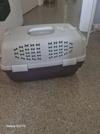 Transportista de perros chicos