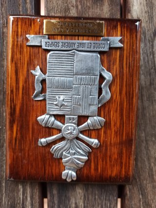 Plaque Esercito Italiano Corde et Igne