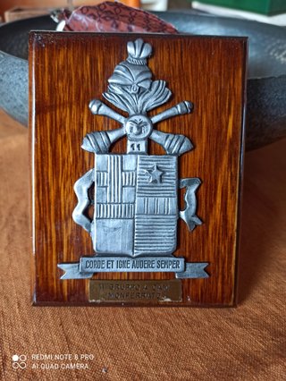 Plaque Esercito Italiano Corde et Igne