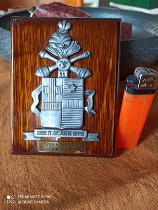 Plaque Esercito Italiano Corde et Igne